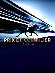 Hippisme - Prix de Cornulier
