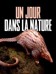 Un jour dans la nature *2017
