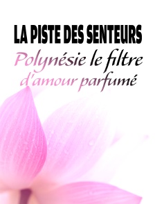 La piste des senteurs - Polynésie, le filtre d'amour parfumé