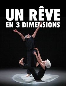Un rêve en 3 dimensions