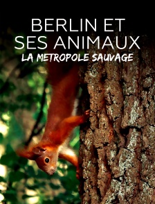 La métropole sauvage : Berlin et ses animaux