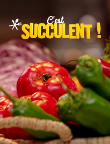 C'est Succulent !
