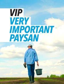 VIP - Very Important Paysan