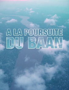 A la poursuite du baan