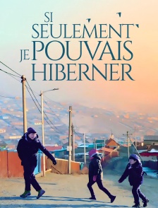 Si seulement je pouvais hiberner
