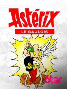6ter - Astérix le Gaulois