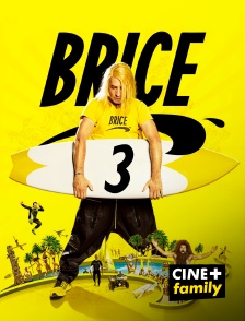 Brice 3