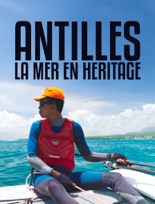 Antilles : la mer en héritage