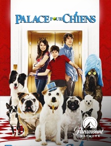 Paramount Network - Palace pour chiens