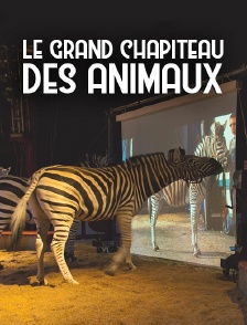 Le grand chapiteau des animaux