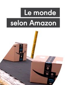 Le monde selon Amazon