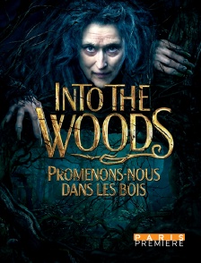 Paris Première - Into the Woods : promenons-nous dans les bois