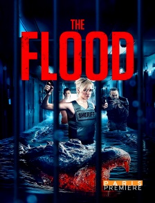 The Flood