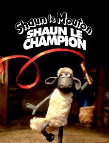 Shaun le champion