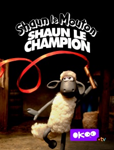 Okoo - Shaun le champion