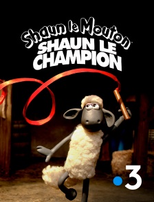 France 3 - Shaun le champion