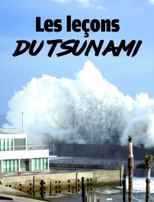 Thaïlande 2004 : Les leçons du tsunami