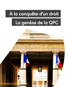 A la conquête d'un droit, la genèse de la QPC