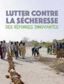 Lutter contre la sécheresse : des réponses innovantes