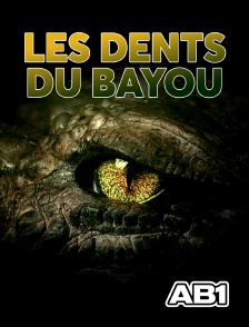 AB 1 - Les dents du bayou