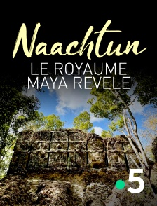 Naachtun, le royaume maya révélé