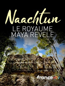 france.tv - Naachtun, le royaume maya révélé