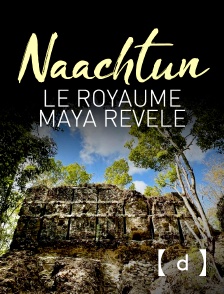 France TV Docs - Naachtun, le royaume maya révélé