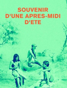 Souvenir d'une après-midi d'été