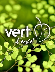 Vert d'envie !