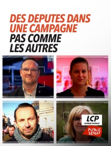 LCP Public Sénat - Présidentielle 2022 : des députés dans une campagne pas comme les autres