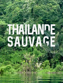 Thaïlande sauvage