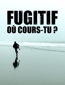 Fugitif, où cours-tu ?