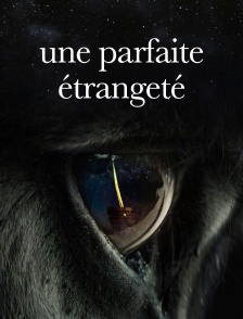 Une parfaite étrangeté
