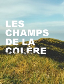 Les champs de la colère