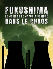 Fukushima : le jour où le Japon a sombré dans le chaos