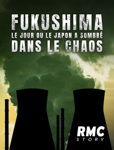 Fukushima : le jour où le Japon a sombré dans le chaos
