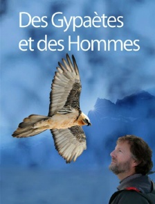Des gypaètes et des hommes