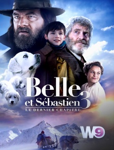 W9 - Belle et Sébastien 3 : le dernier chapitre