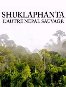 Shuklaphanta : L'autre Népal sauvage
