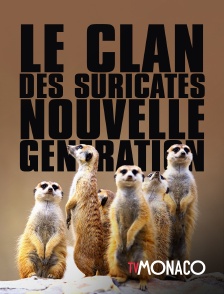 TV Monaco - Le clan des suricates nouvelle génération