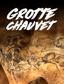 Grotte Chauvet : Dans les pas des artistes de la Préhistoire