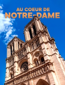 Au coeur de Notre-Dame