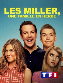 TF1 - Les Miller, une famille en herbe