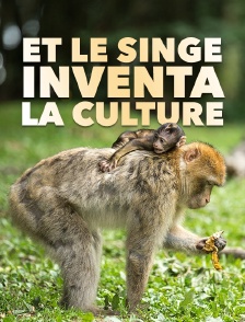 Et le singe inventa la culture
