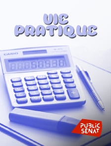 Public Sénat - Paradise travel