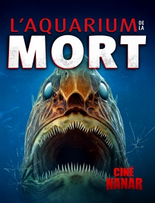 Ciné Nanar - Aquarium de la Mort
