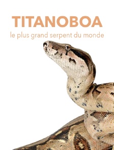 Titanoboa, le plus grand serpent du monde