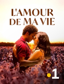 La 1ère Martinique - Love of my life en replay