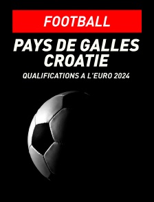 Football - Qualifications à l'Euro 2024 : Pays de Galles / Croatie