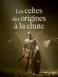 Les celtes, des origines à la chute